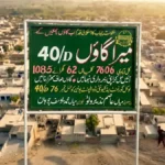 تحصیل دیپالپور کا تاریخی گاؤں 40ڈی تاریخ اور مکمل معلومات